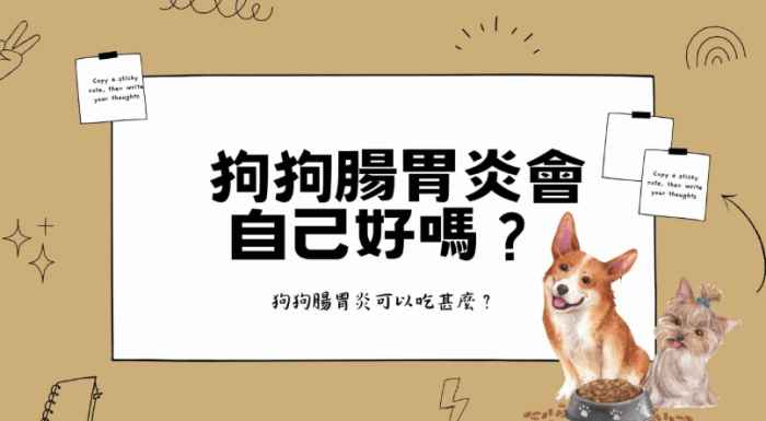 狗狗腸胃炎舒跑 狗狗腸胃炎舒跑