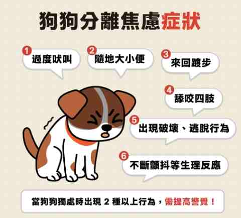 分離焦慮症成因 分離焦慮症成因
