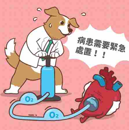 狗狗肺積水 狗狗肺積水