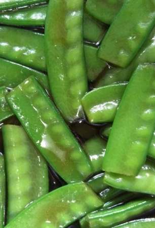 長江豆種植 長江豆種植