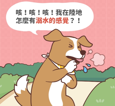狗心臟病症狀 狗心臟病症狀