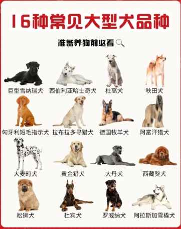 大型犬飼養指南 大型犬飼養指南