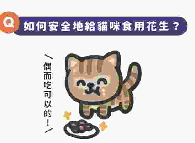 貓花生好處壞處 貓花生好處壞處