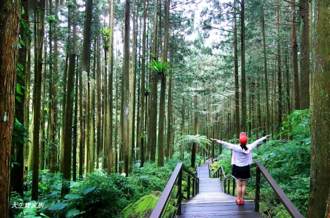 台南出發一日遊 台南出發一日遊