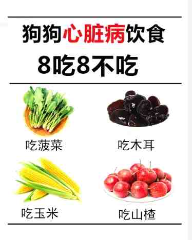 狗吃木耳安全嗎 狗吃木耳安全嗎