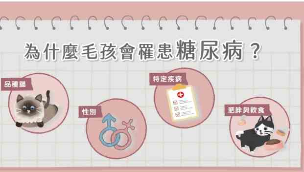 貓糖尿病原因 貓糖尿病原因