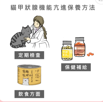 貓咪甲狀腺亢進食物 貓咪甲狀腺亢進食物