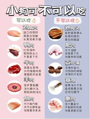 狗狗不能吃的肉類 狗狗不能吃的肉類