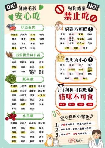 貓咪飲食禁忌