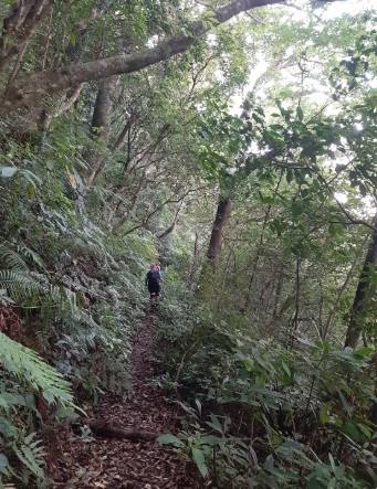 三峽登山步道推薦