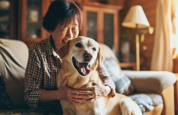 狗牙龈增生治療 狗牙龈增生治療