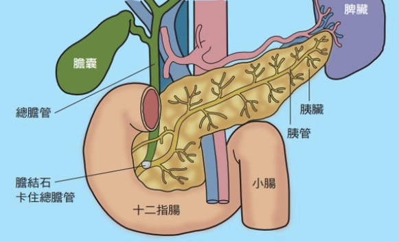 血漿輸注風險 血漿輸注風險