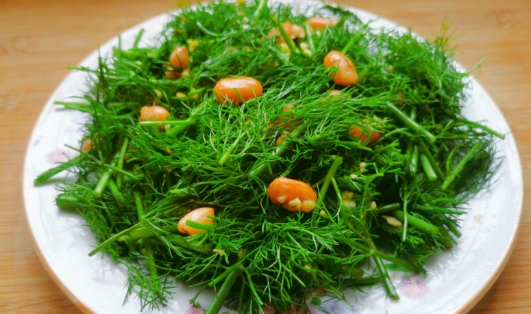 茴香功效 茴香功效