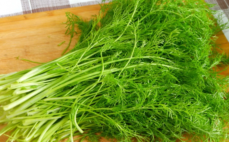 茴香功效 茴香功效