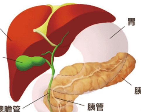 急性胰臟炎治療 急性胰臟炎治療