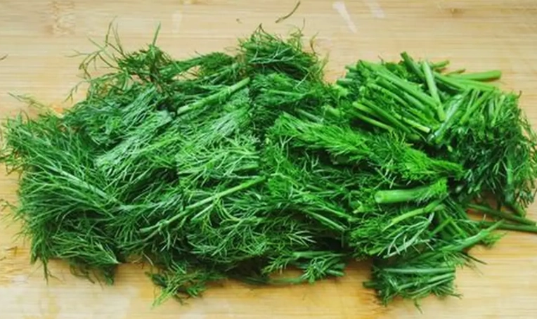 茴香料理 茴香料理