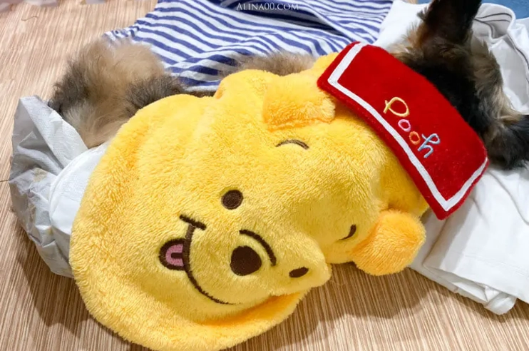 狗腎衰竭治療 狗腎衰竭治療