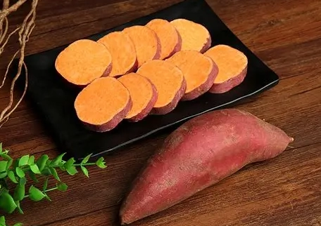 地瓜狗食份量計算 地瓜狗食份量計算