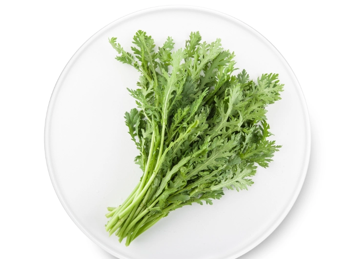 狗狗吃茼蒿 狗狗吃茼蒿