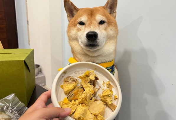 狗狗粽子食譜 狗狗粽子食譜