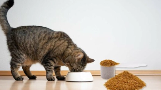 飼料召回事件 飼料召回事件