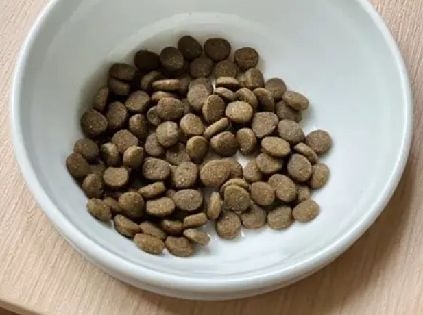 貓飼料碳水化合物