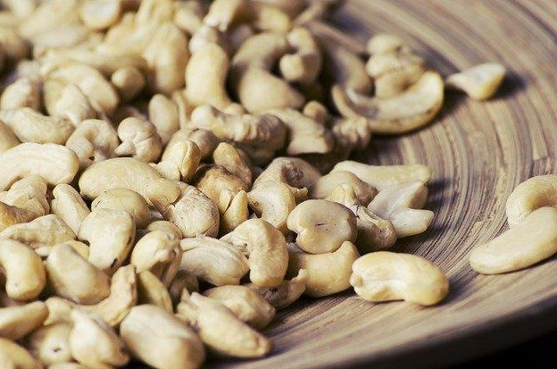 腰果狗狗健康 腰果狗狗健康