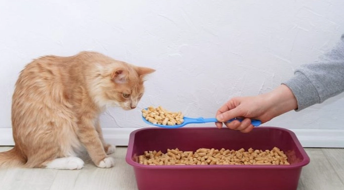 飼料召回事件 飼料召回事件