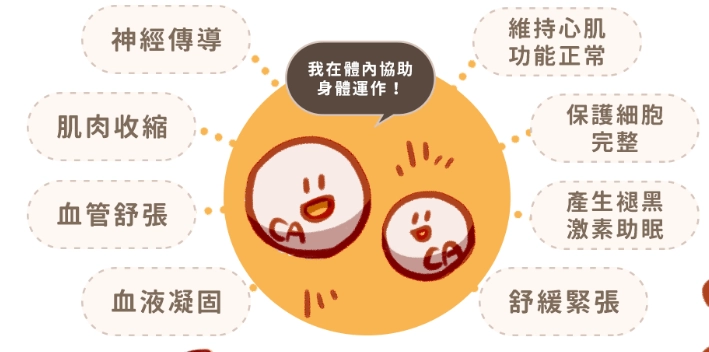 鈣磷比例 鈣磷比例