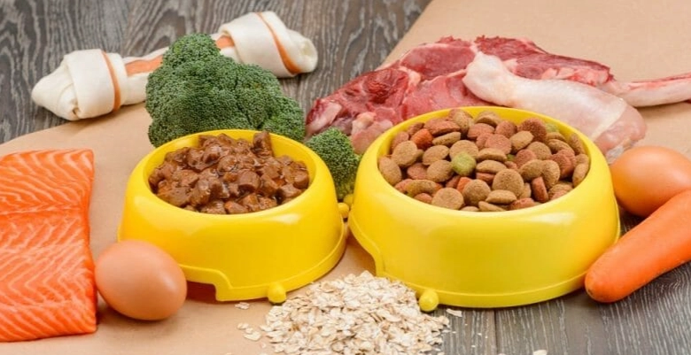 貓零食推薦 貓零食推薦