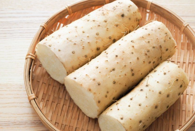 狗狗山藥料理 狗狗山藥料理