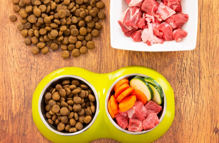 狗飼料 vs 鮮食 狗飼料 vs 鮮食