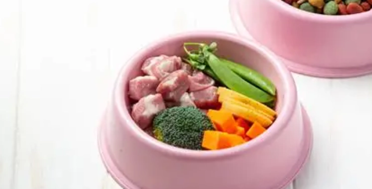 狗飼料 vs 鮮食 狗飼料 vs 鮮食