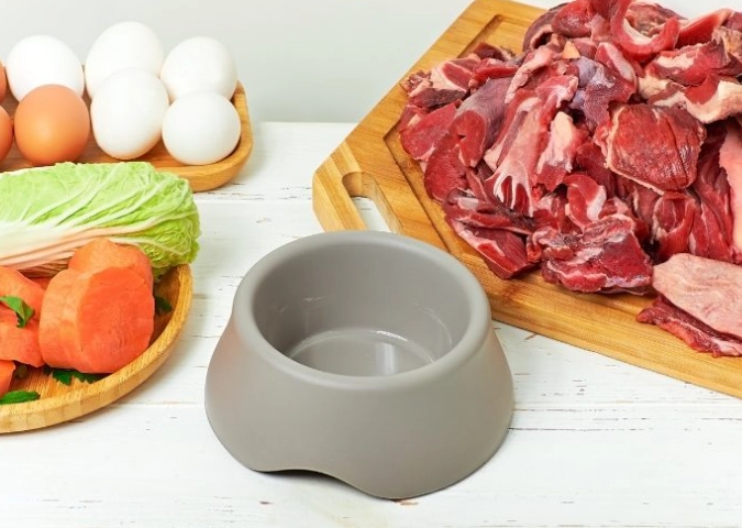 狗飼料 vs 鮮食 狗飼料 vs 鮮食