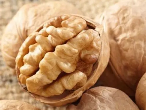胡桃狗好處 胡桃狗好處