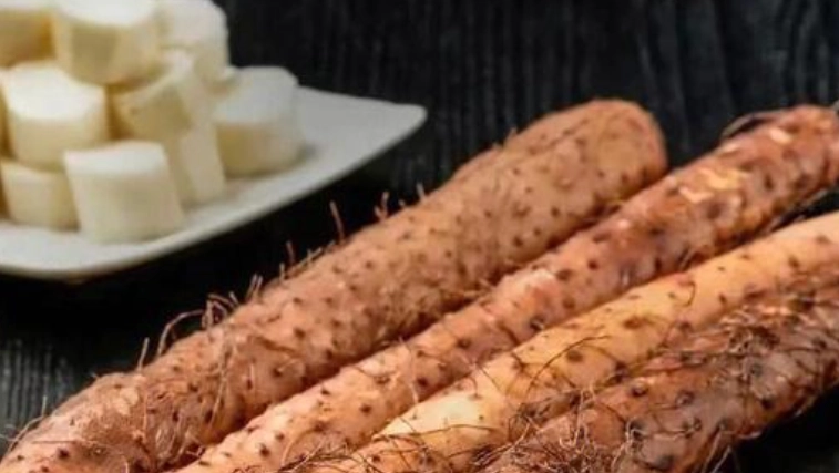 自製狗食山藥 自製狗食山藥