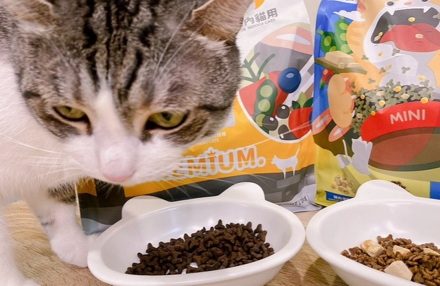 貓飼料碳水化合物