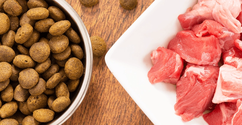 狗狗鮮食食譜份量 狗狗鮮食食譜份量
