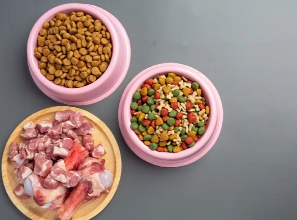 寵物鮮食好處 寵物鮮食好處