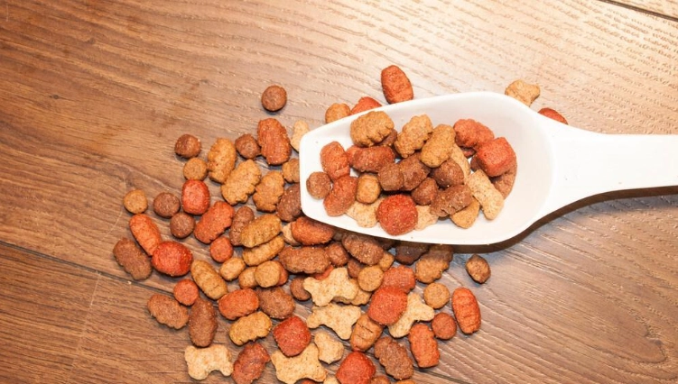狗狗食量計算 狗狗食量計算
