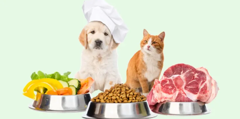 貓狗飼料選擇 貓狗飼料選擇