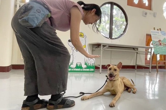 狗狗分離焦慮症狀 狗狗分離焦慮症狀