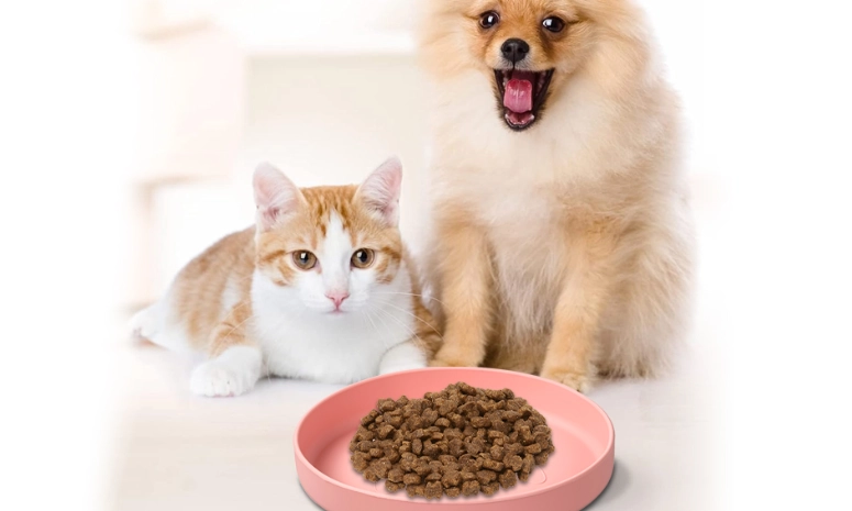 貓狗飼料選擇 貓狗飼料選擇