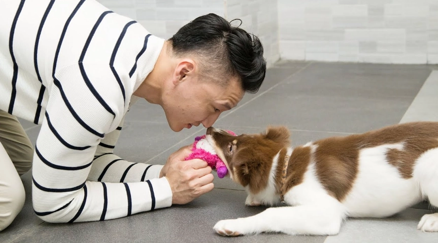狗狗分離焦慮症狀 狗狗分離焦慮症狀
