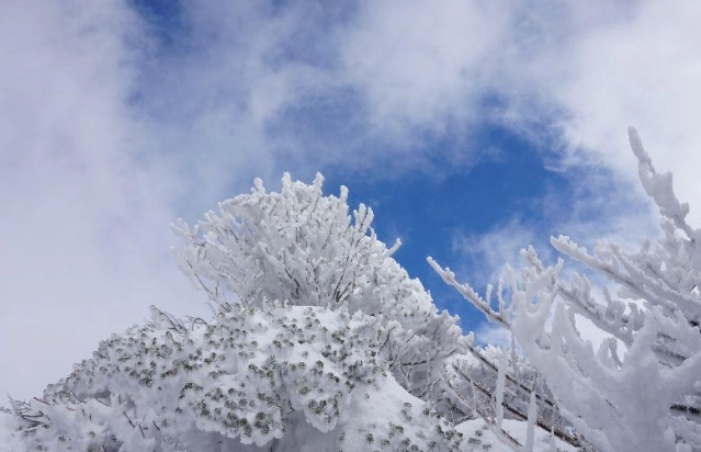 漢拿山氣候 漢拿山氣候