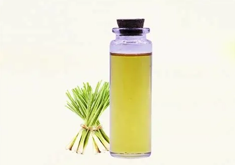香茅油 狗狗 有害 香茅油 狗狗 有害