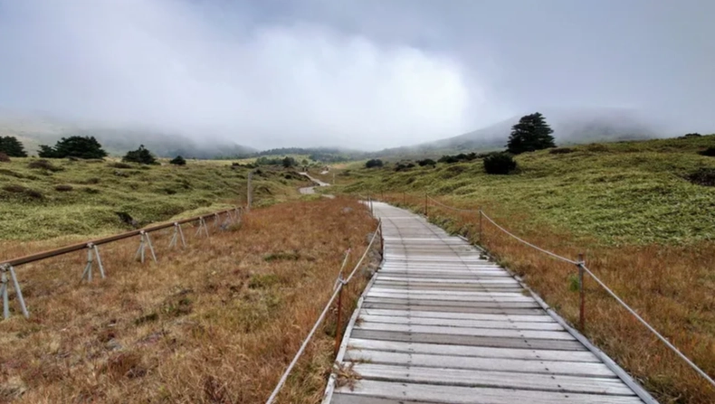 漢拿山御里牧登山路 漢拿山御里牧登山路