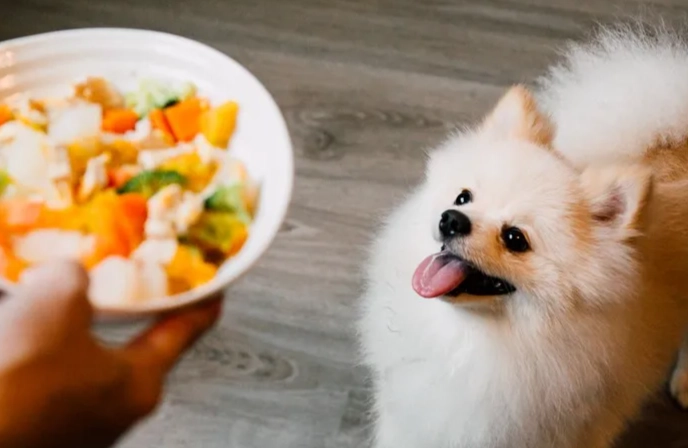 鮮食保鮮方法 鮮食保鮮方法