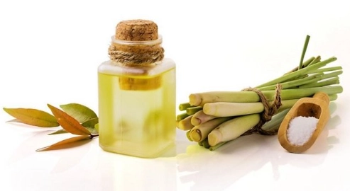 狗狗 香茅油 中毒 狗狗 香茅油 中毒