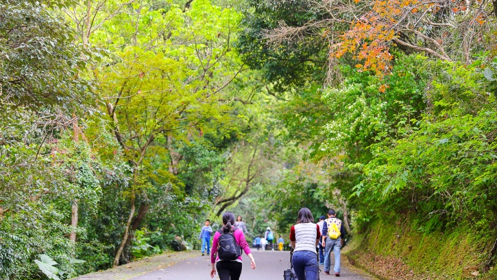 桃園健行路線 桃園健行路線